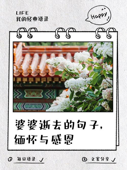 感恩婆婆  第1张