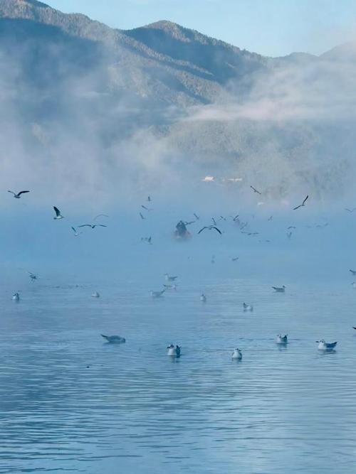 泸沽湖的雾  第1张