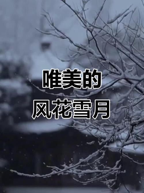 看人间美景，享风花雪月  第1张