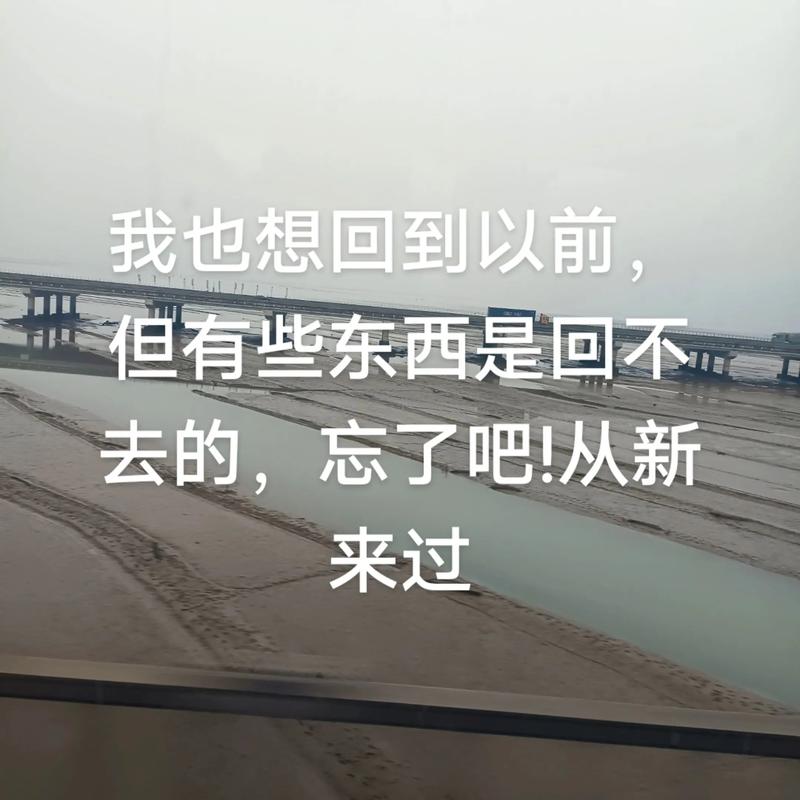 走远了，一心想回去  第1张
