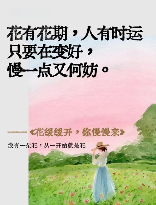 用一朵花开的时间来听  第1张