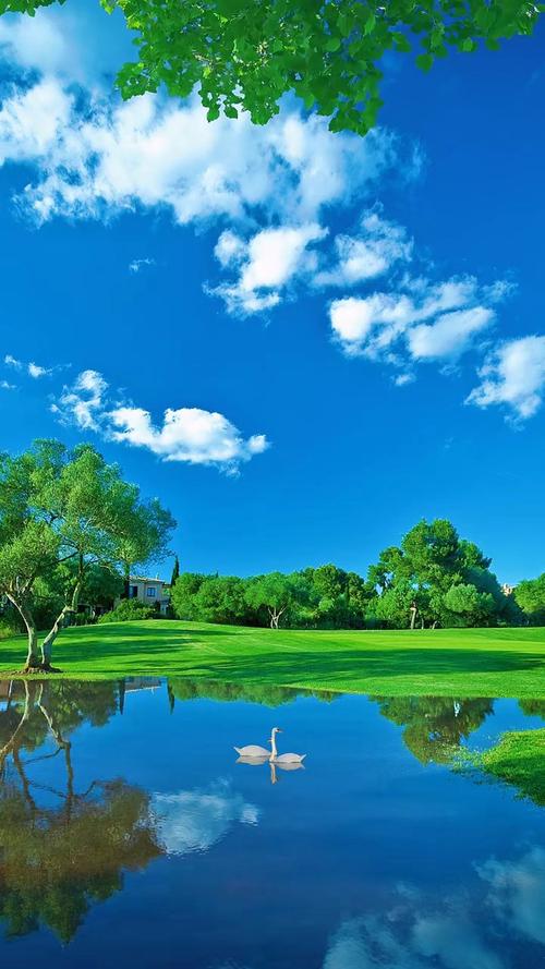 与自然拥抱  第1张