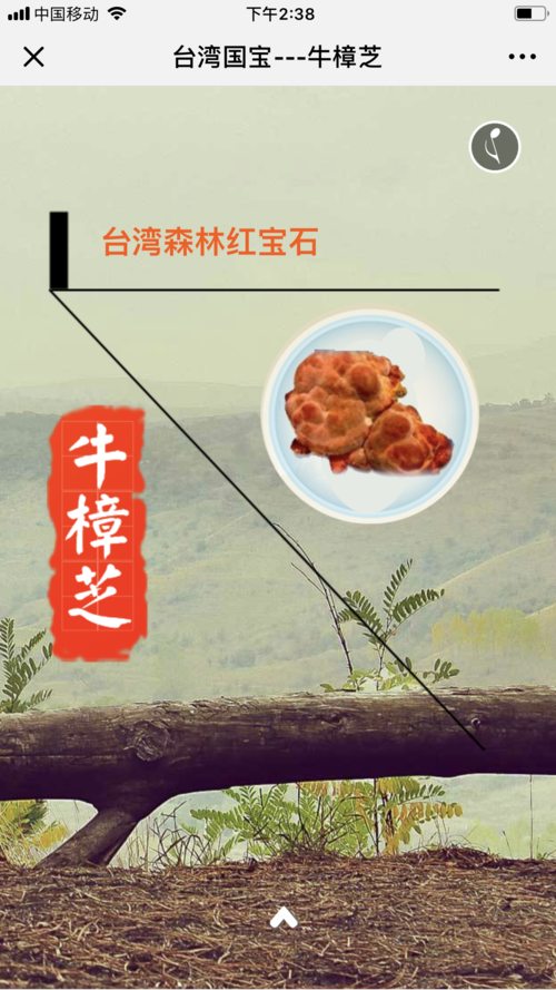 台湾一级国宝－－牛樟树  第1张