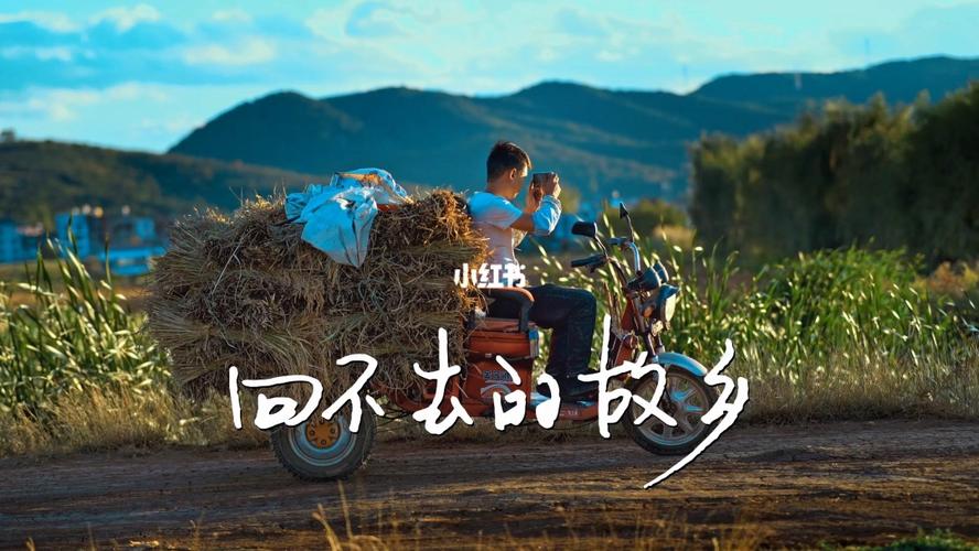 回不去的故乡  第1张