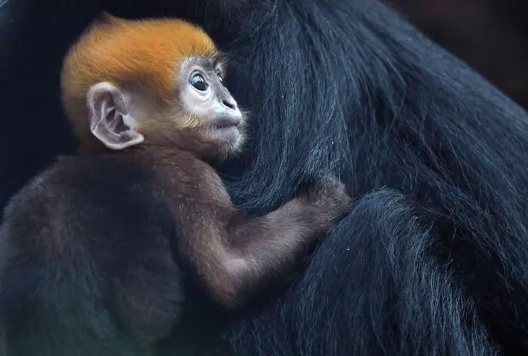 母亲的臂弯  第1张