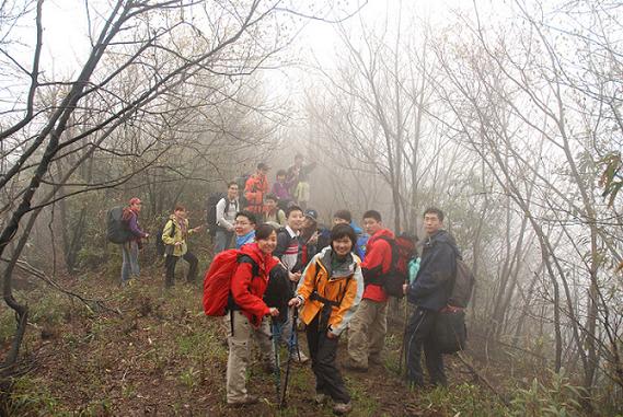 驴行茶山  第1张