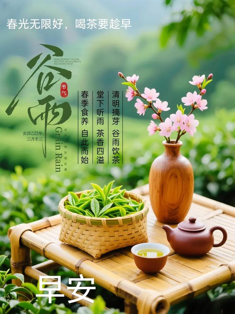 茶雨微凉  第1张