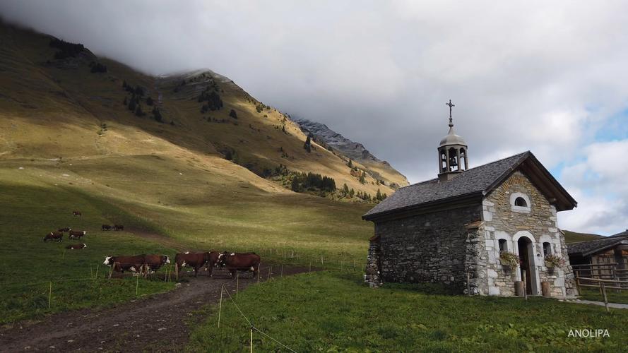 纯情阿尔卑斯  第1张