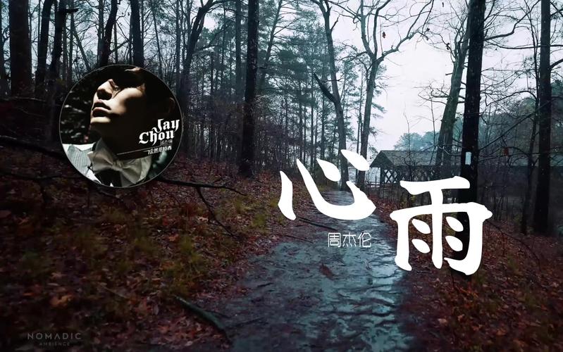 雨不停，心不定  第1张