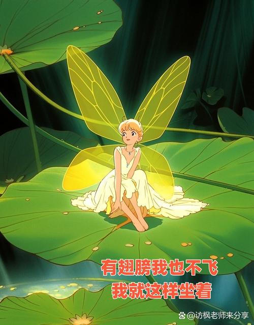 会飞的大姑  第1张