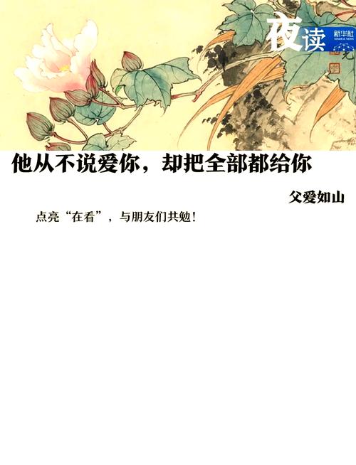 父爱无言  第1张