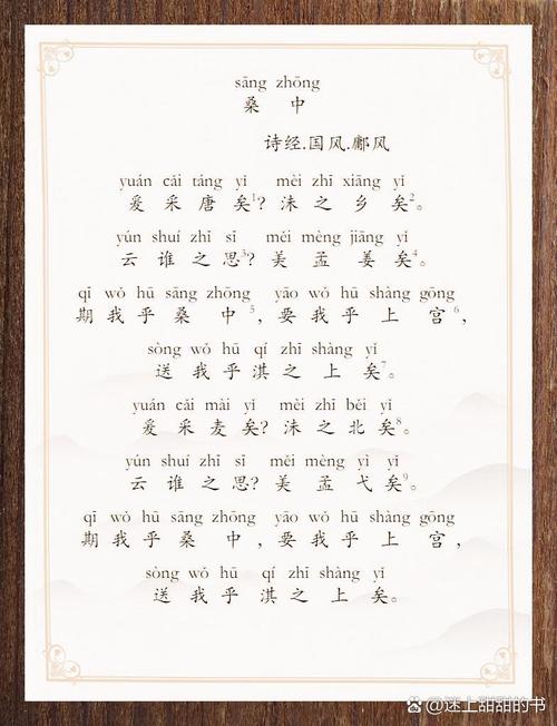 风吹青苇天籁生  第1张