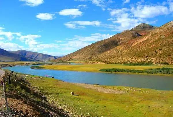 让亲情自由呼吸  第1张