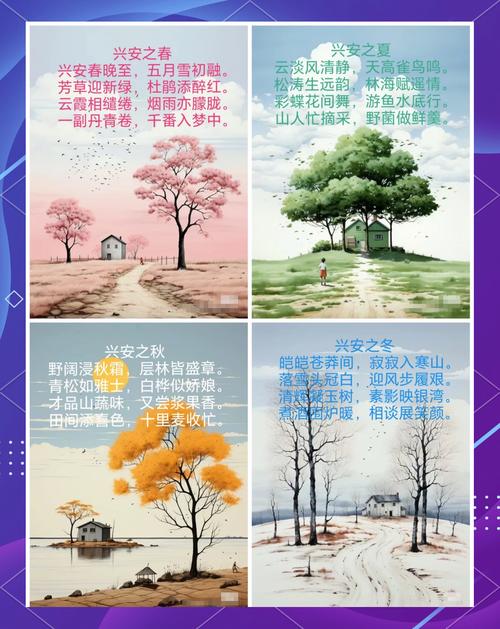 《时光牵我，四季如春》  第1张