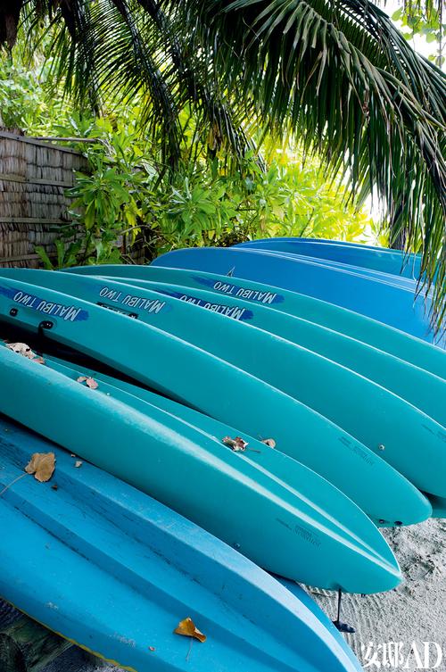 甲板之爱  第1张