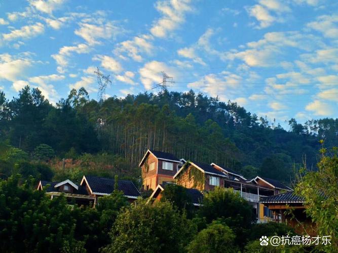 梦里竹乡  第1张