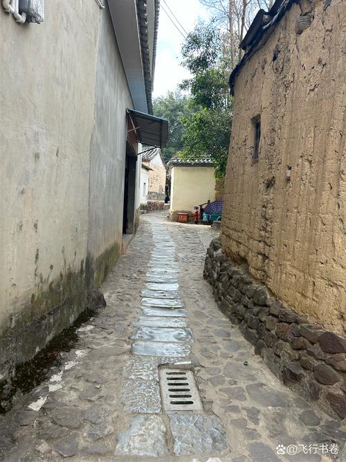 小巷  第1张