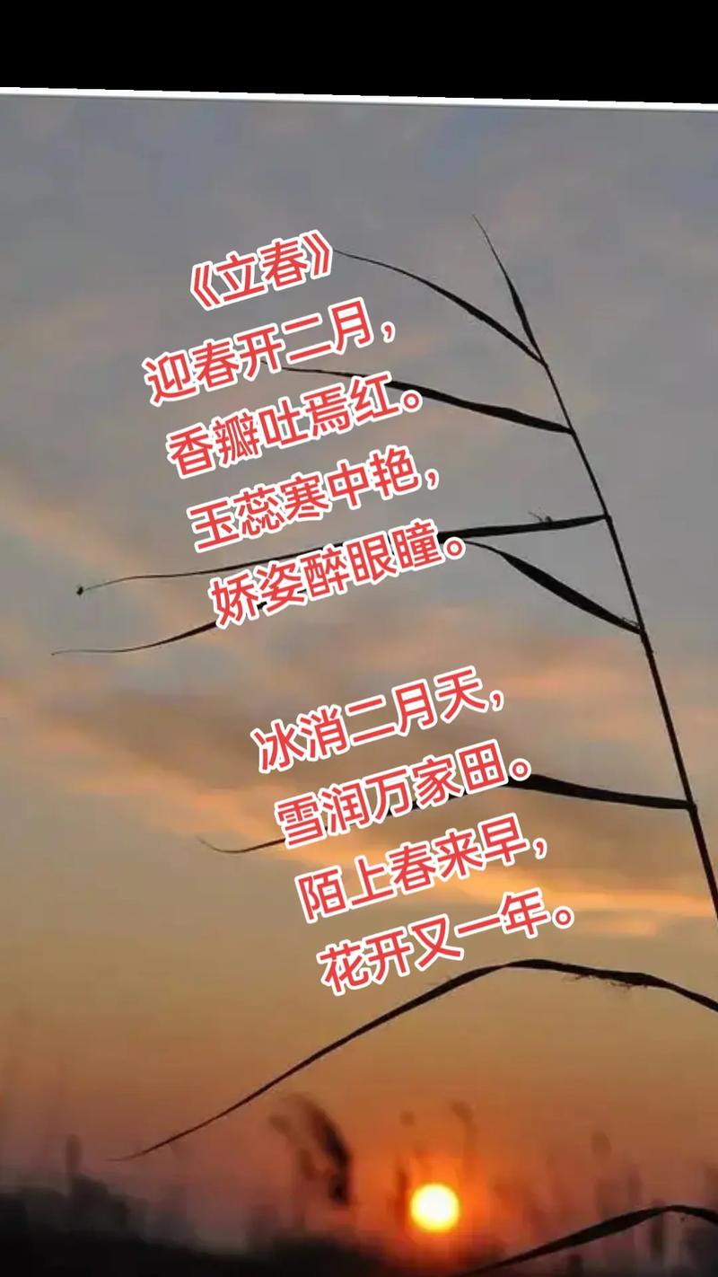 雪润立春  第1张