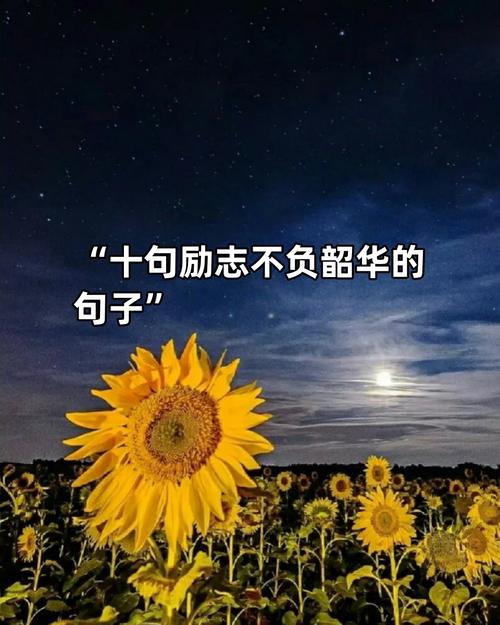 致敬不凡青春的唯美句子 致敬青春不负韶华的唯美句子  第1张