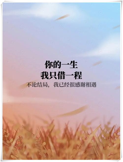 你是我今生最大的依恋  第1张