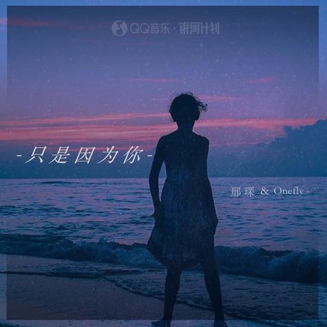 只因有你，只因爱你  第1张