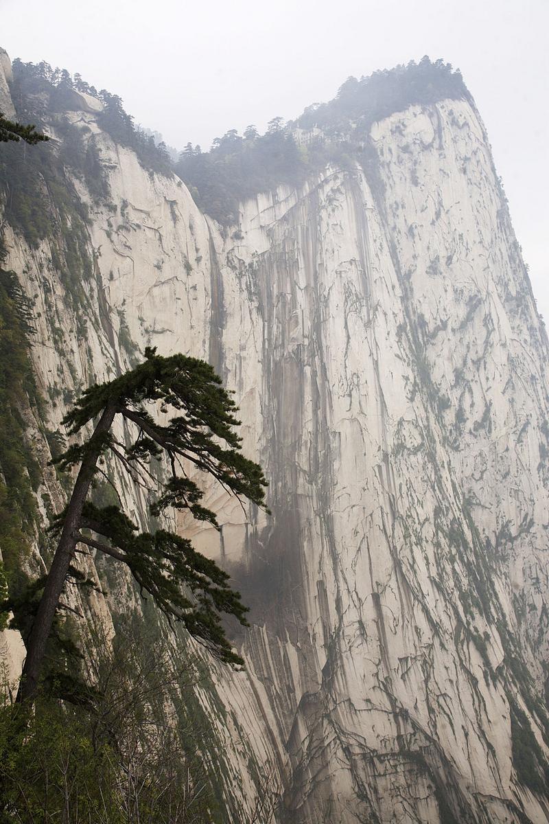 立于山腰风景独好  第1张