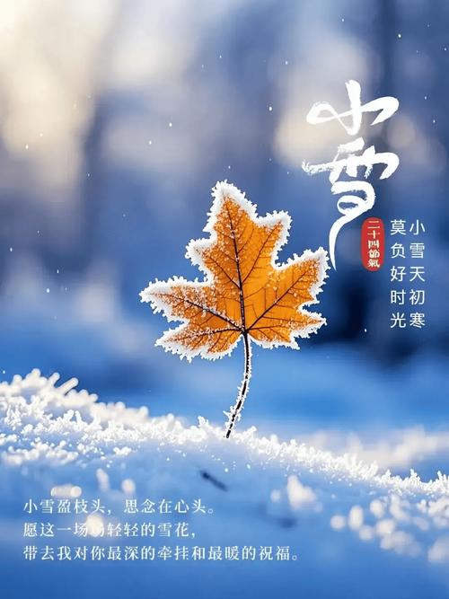 小雪遇雪  第1张