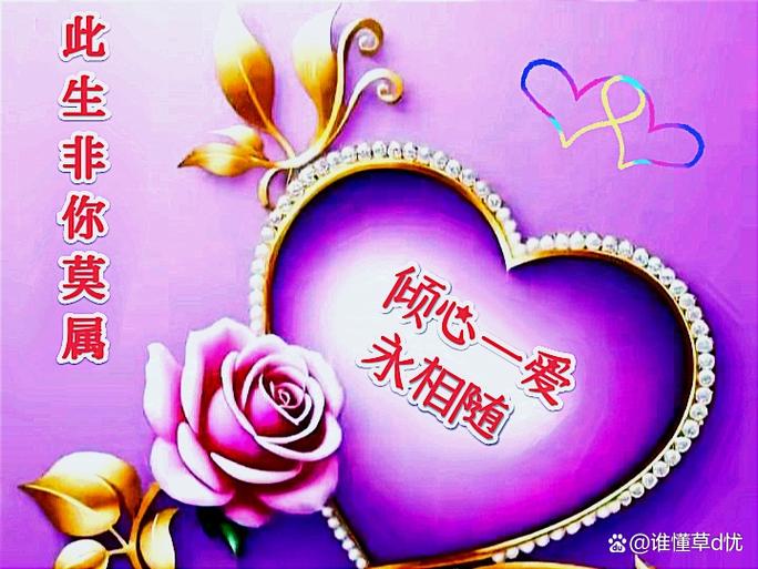 爱是一种信仰  第1张