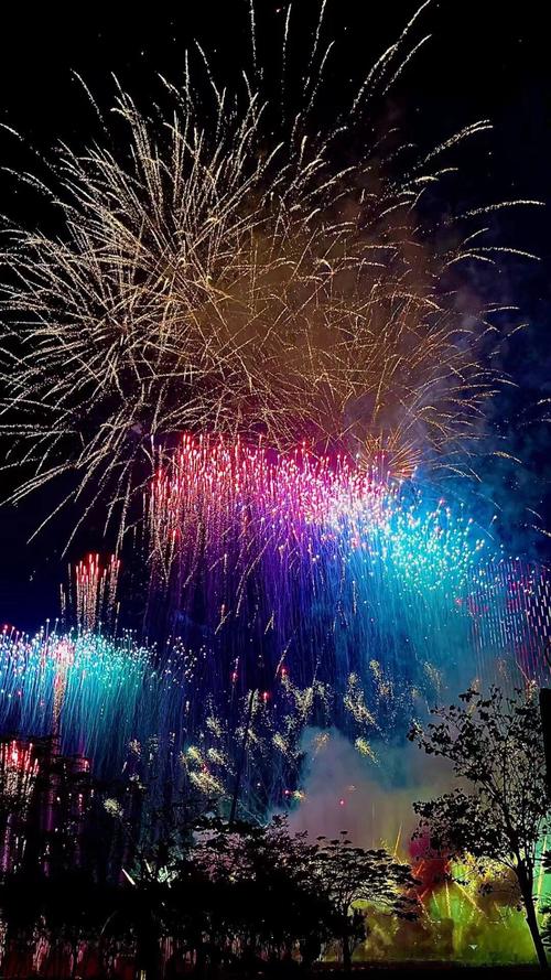 盛世烟花  第1张