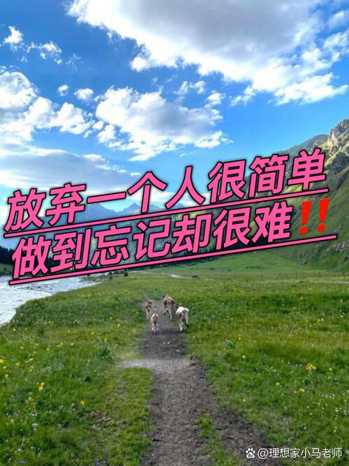 放弃一个人会多难？  第1张