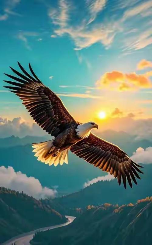 是鹰就该让他展翅飞翔  第1张