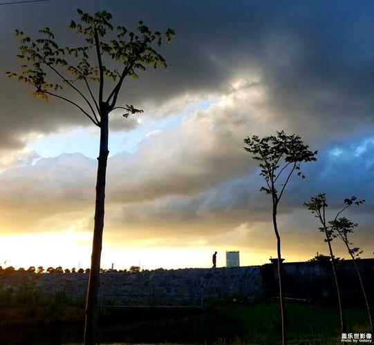 夕阳下的影望：第七章  第1张