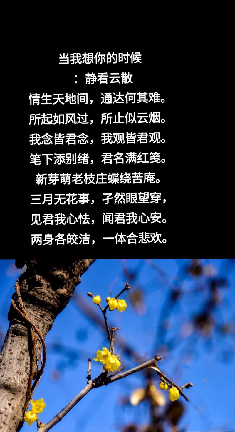 我用一世芬芳换你一个印象  第1张