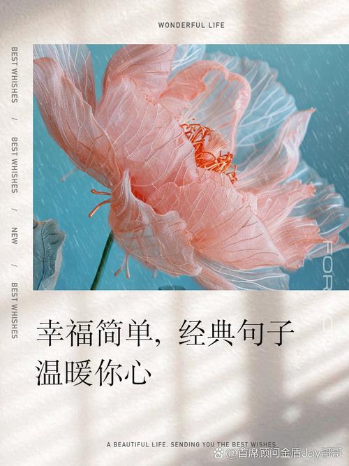 暖心的幸福  第1张