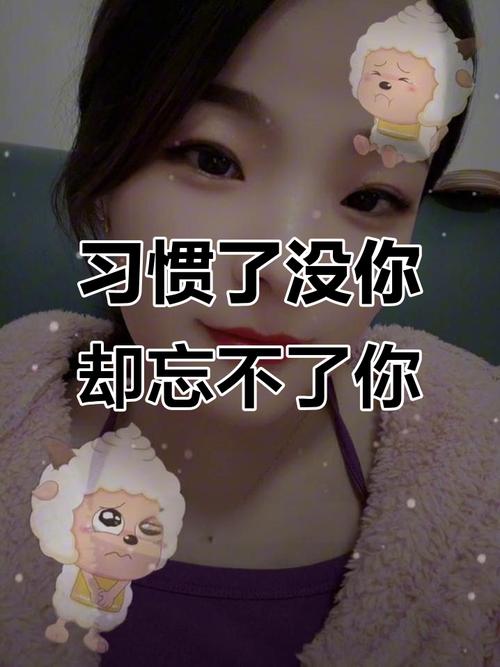 习惯没有你  第1张