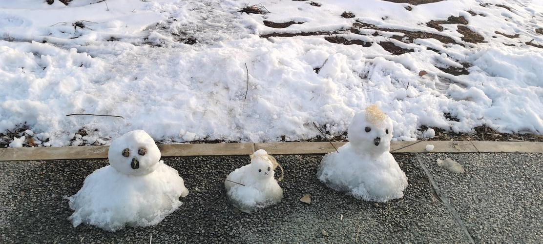 雪后新生  第1张