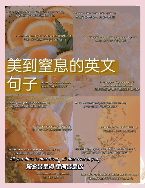 英语精彩内容短句 英语精彩句段  第1张