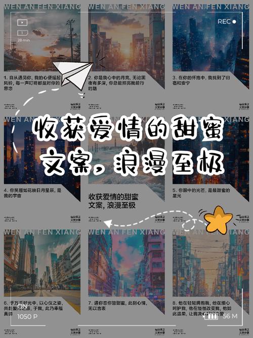 最浪漫的收获  第1张