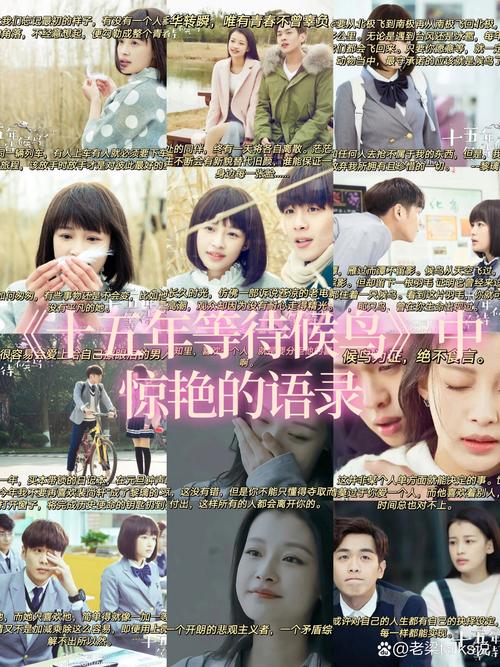 青春、爱情、等待  第1张