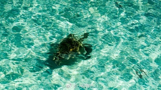 不由得去想  第1张