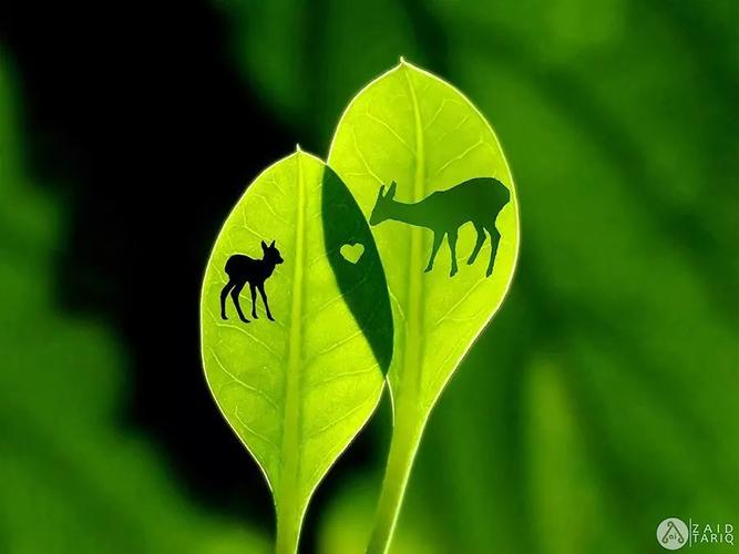 伴侣，必要走动。孩子，喜好礼品。生命，渴求绿色。  第1张