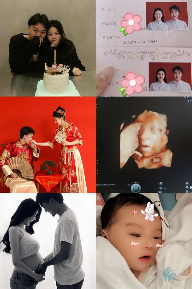 恋爱/结婚/生子  第1张