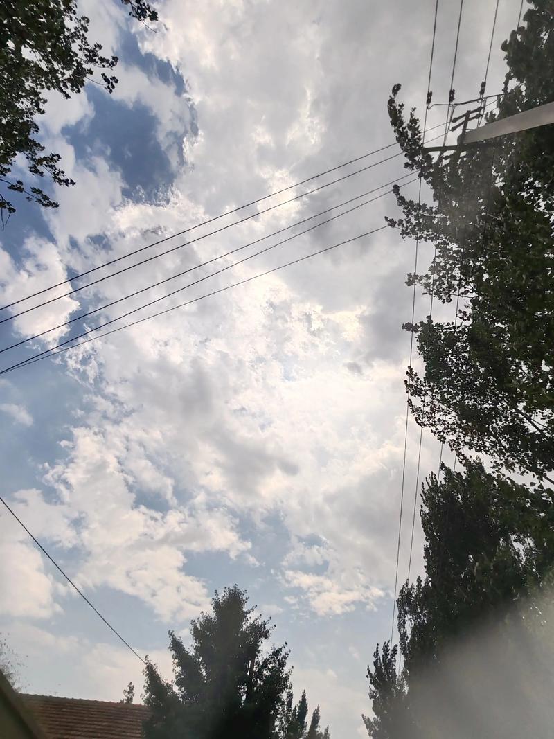 你不在的天空  第1张