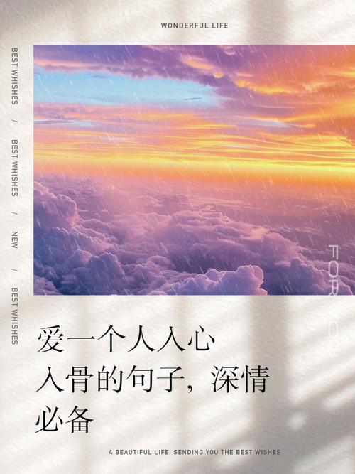 一个一生钟情的人  第1张