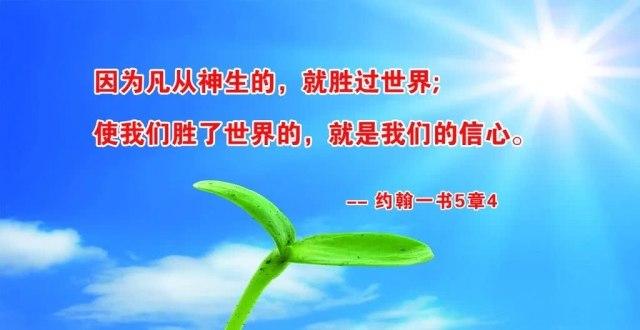 信耶稣的心得体会（2020.2.26）  第1张