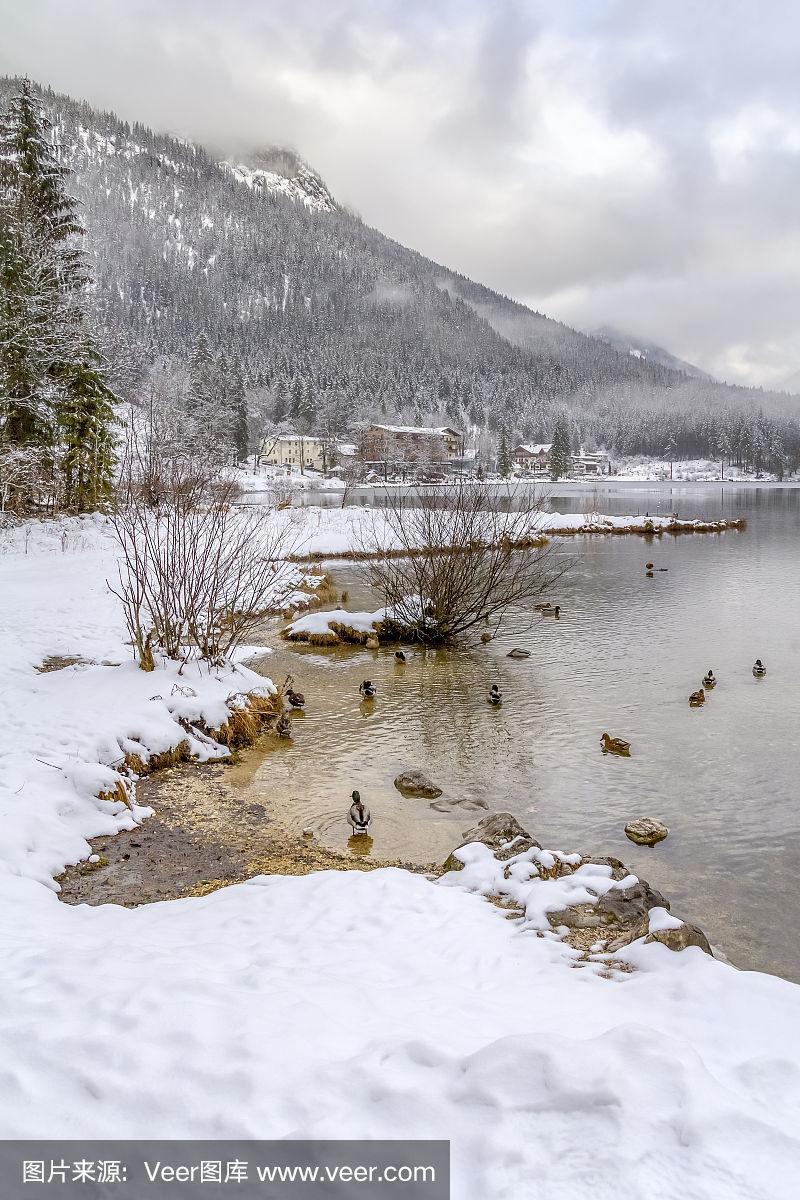 冬天的腹地  第1张