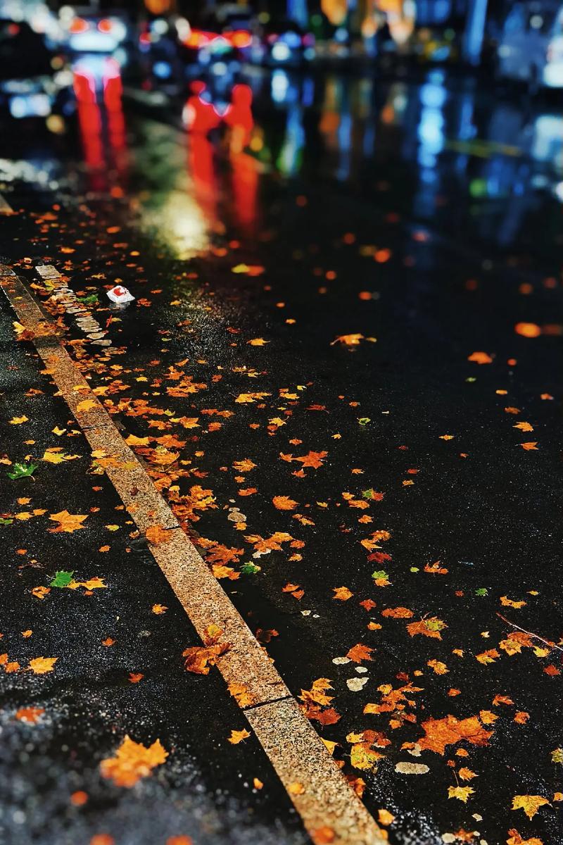 等雨季过后  第1张