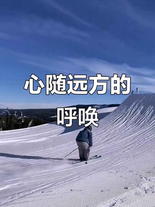 心向远方  第1张