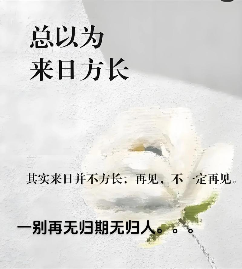 一别就是一辈子  第1张