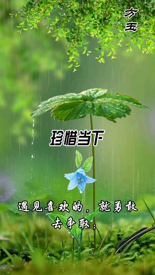 请珍惜眼前人  第1张